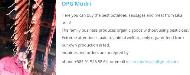 OPG Mudri Here you can buy the best potatoes, sausages and meat from Lika area! The family business produces organic goods without using pesticides. Extreme attention is paid to animal welfare, only organic feed from our own production is fed. Inquiries and orders are accepted by phone +385 91 546 88 64  or email milan.mudrovcic@gmail.com